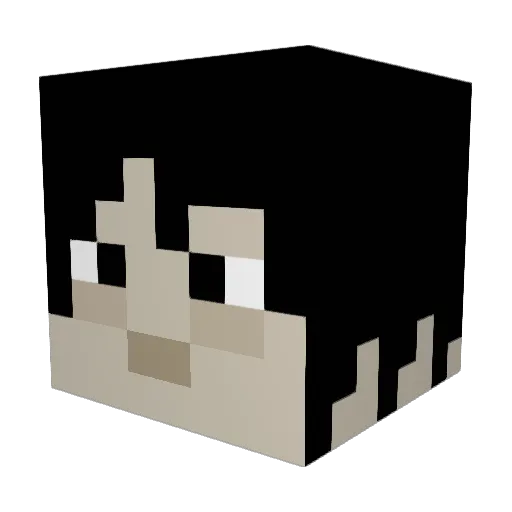 ninjamax32 Minecraft avatar head, 3D render