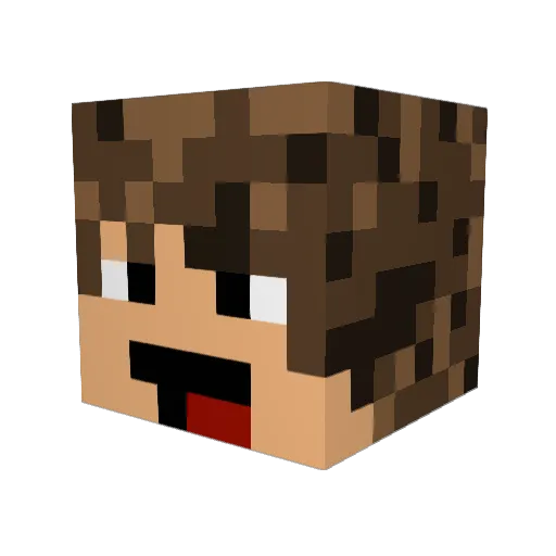 ninjamdw Minecraft avatar head, 3D render