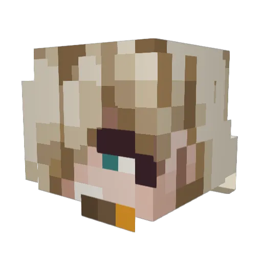 ninjamon2 Minecraft avatar head, 3D render
