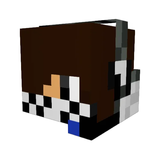 ninjamonkey2008 Minecraft avatar head, 3D render