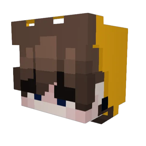 ninjann200 Minecraft avatar head, 3D render