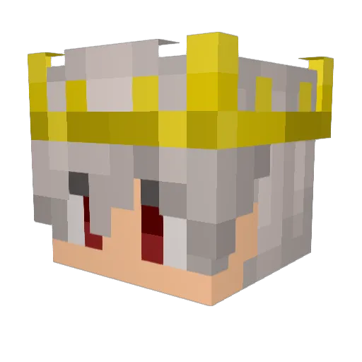 ninjapig6 Minecraft avatar head, 3D render