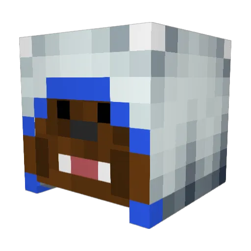 ninjapro246 Minecraft avatar head, 3D render