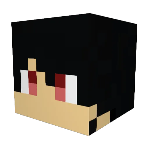 ninjaquest Minecraft avatar head, 3D render