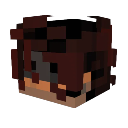 ninjasasuke Minecraft avatar head, 3D render