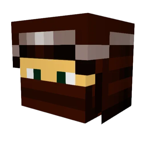 ninjasen109 Minecraft avatar head, 3D render