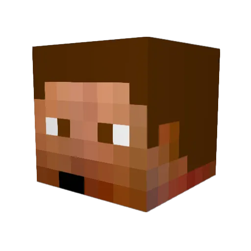 ninjashadow19x Minecraft avatar head, 3D render