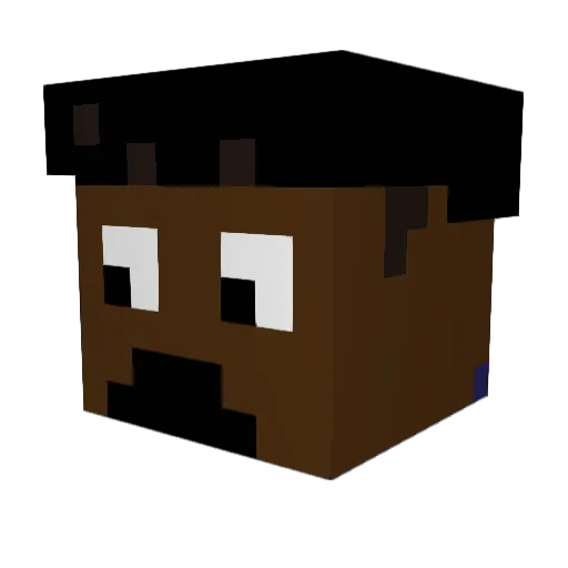 ninjaskillyou Minecraft avatar head, 3D render