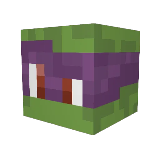 ninjaspongemonk Minecraft avatar head, 3D render