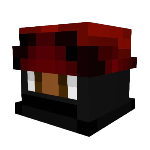 ninjastar254 Minecraft avatar head, 3D render