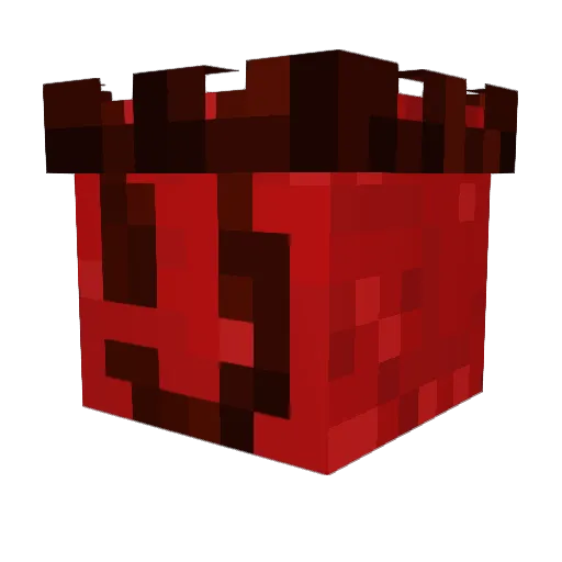 ninjastarsf Minecraft avatar head, 3D render