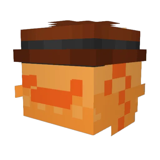ninjax157647 Minecraft avatar head, 3D render