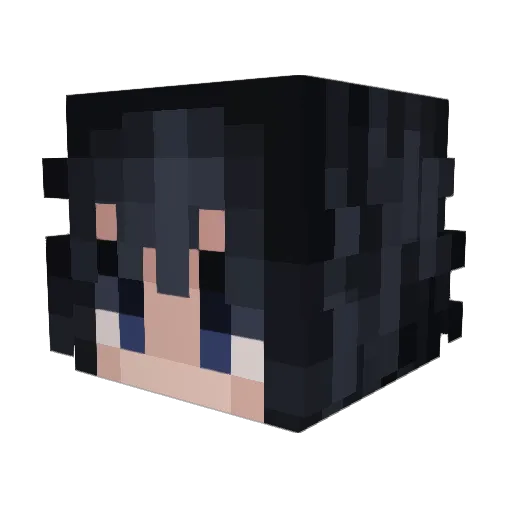 ninjaystar115 Minecraft avatar head, 3D render