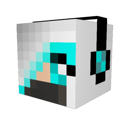 ninjz1 Minecraft avatar head, 3D render