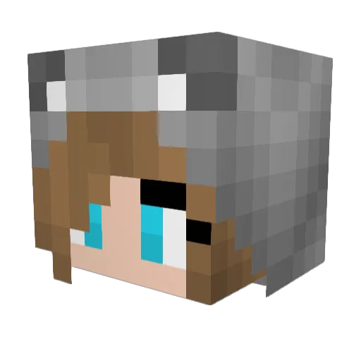 ninni01 Minecraft avatar head, 3D render