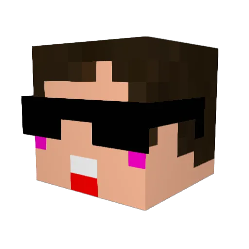 ninninbuta Minecraft avatar head, 3D render
