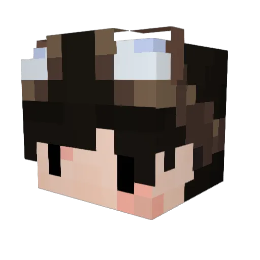 ninofromvenus Minecraft avatar head, 3D render