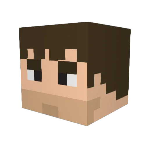 nintendo90 Minecraft avatar head, 3D render