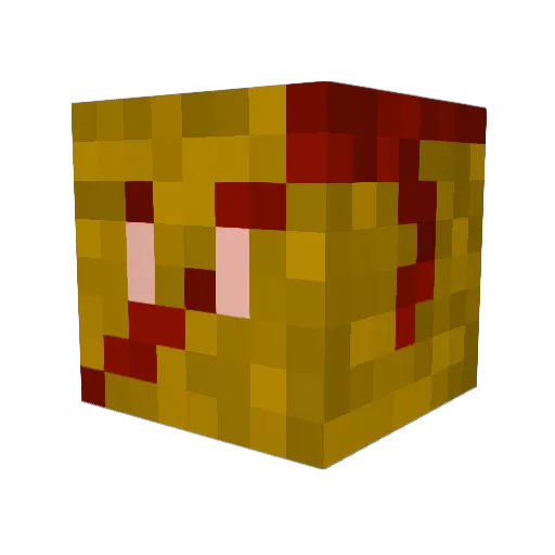 nintendocubeboy Minecraft avatar head, 3D render