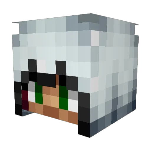 nintendovah Minecraft avatar head, 3D render