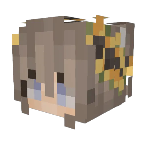 ninth_tone Minecraft avatar head, 3D render
