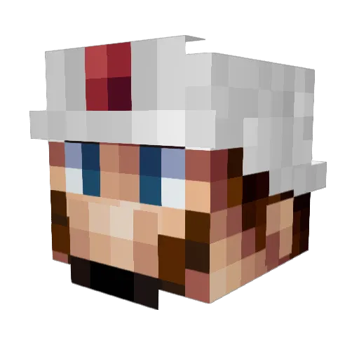 nintyning Minecraft avatar head, 3D render