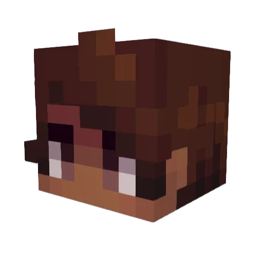 nioi_ Minecraft avatar head, 3D render