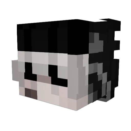 nipagamer123 Minecraft avatar head, 3D render