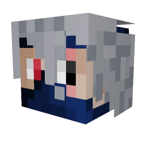 nipulz Minecraft avatar head, 3D render