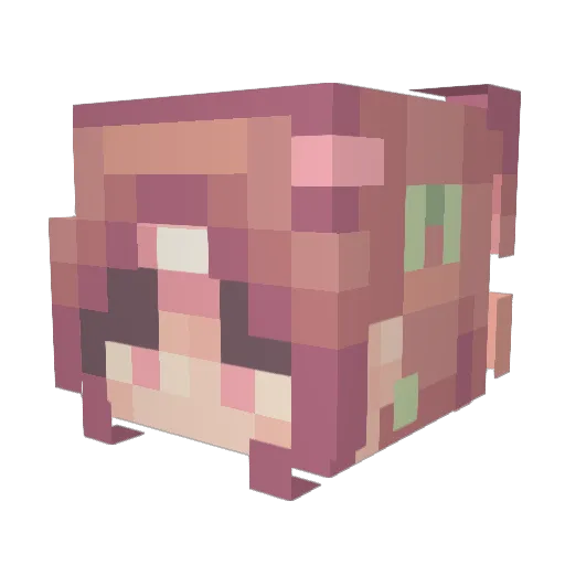 niqhts_ Minecraft avatar head, 3D render