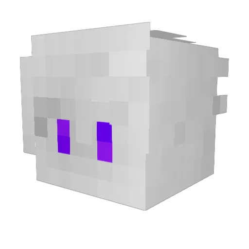 niqleclimat Minecraft avatar head, 3D render