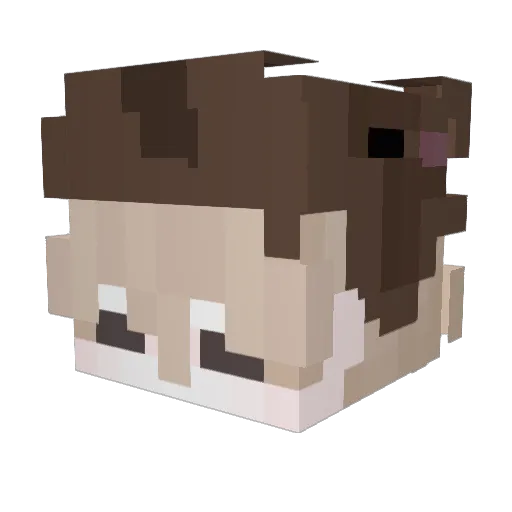 niraniscracked Minecraft avatar head, 3D render