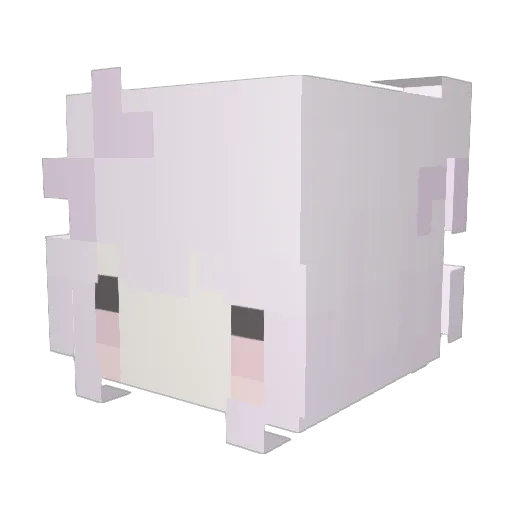 nirt Minecraft avatar head, 3D render
