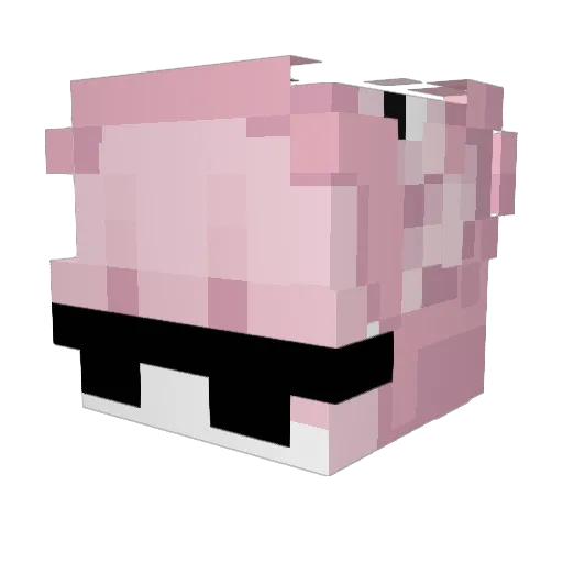 nirue Minecraft avatar head, 3D render
