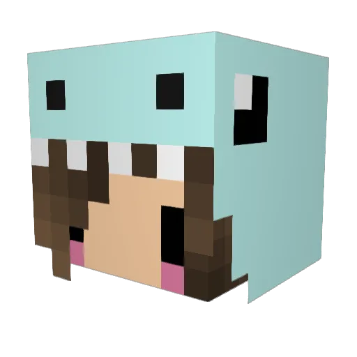 nis35x Minecraft avatar head, 3D render