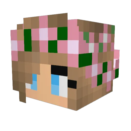 nisgoin Minecraft avatar head, 3D render