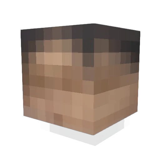 nishisan_ Minecraft avatar head, 3D render