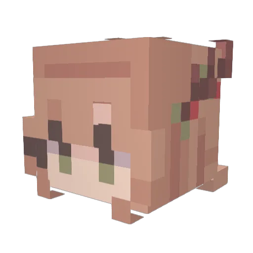 nishkabab Minecraft avatar head, 3D render