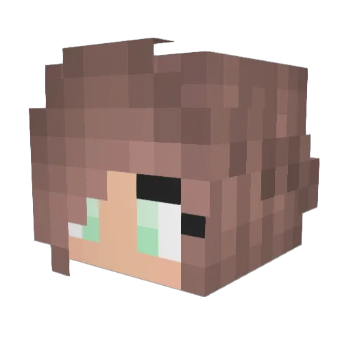 nisl10 Minecraft avatar head, 3D render