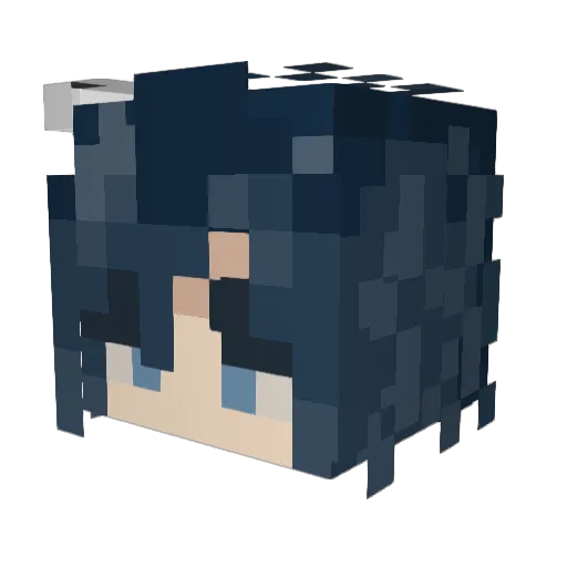 nisonix Minecraft avatar head, 3D render