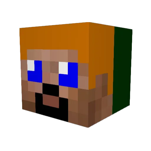 nisse_00 Minecraft avatar head, 3D render