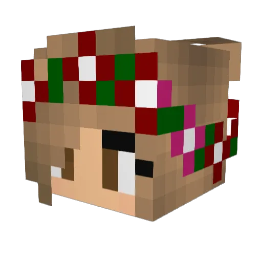 nissgaming Minecraft avatar head, 3D render