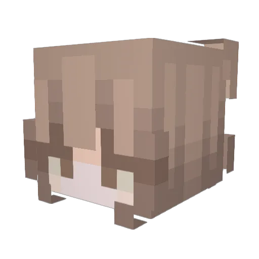 nitawuzabijsie Minecraft avatar head, 3D render