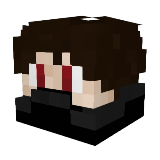niteassassin_ Minecraft avatar head, 3D render