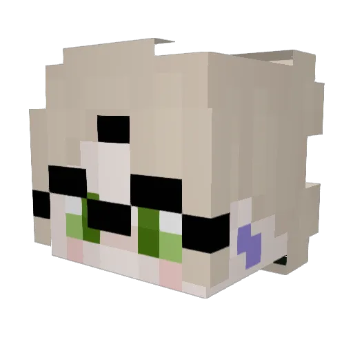 niteowl_1212 Minecraft avatar head, 3D render