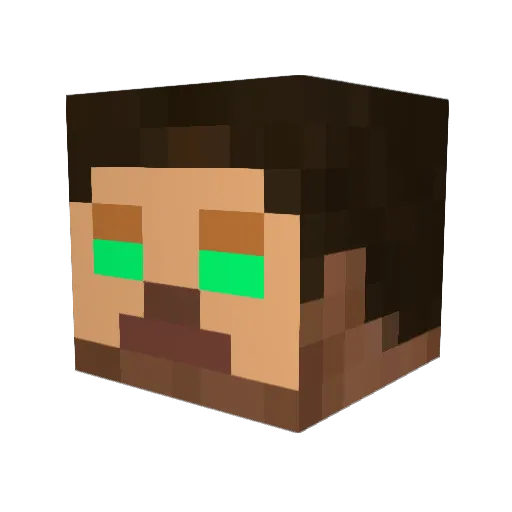 nitewolf81 Minecraft avatar head, 3D render