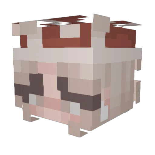 nitika324 Minecraft avatar head, 3D render