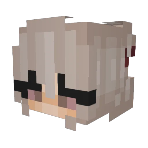 nitne Minecraft avatar head, 3D render