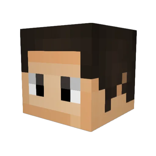 nitro534 Minecraft avatar head, 3D render