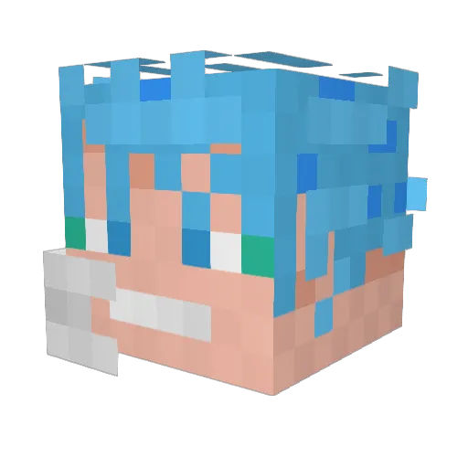 nitro59200 Minecraft avatar head, 3D render